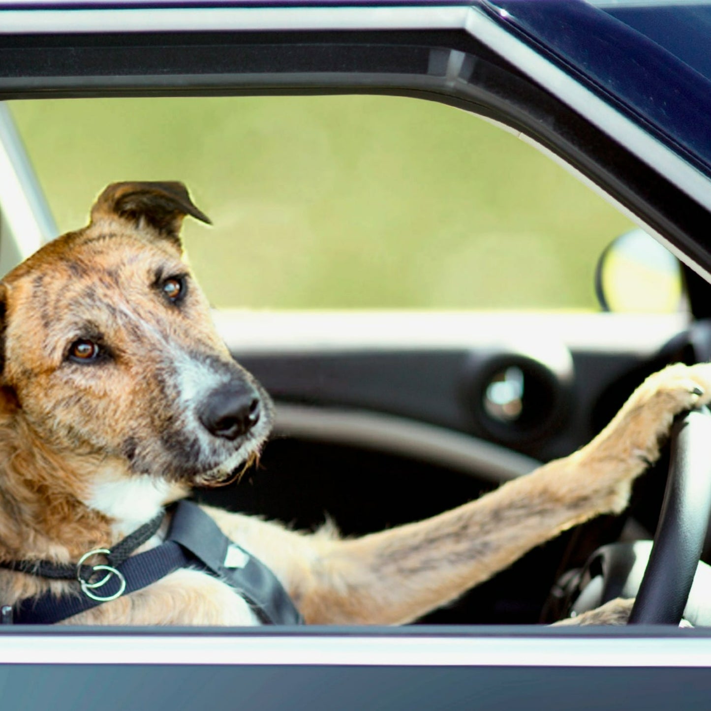 Science Birthday Party - Travel Fee