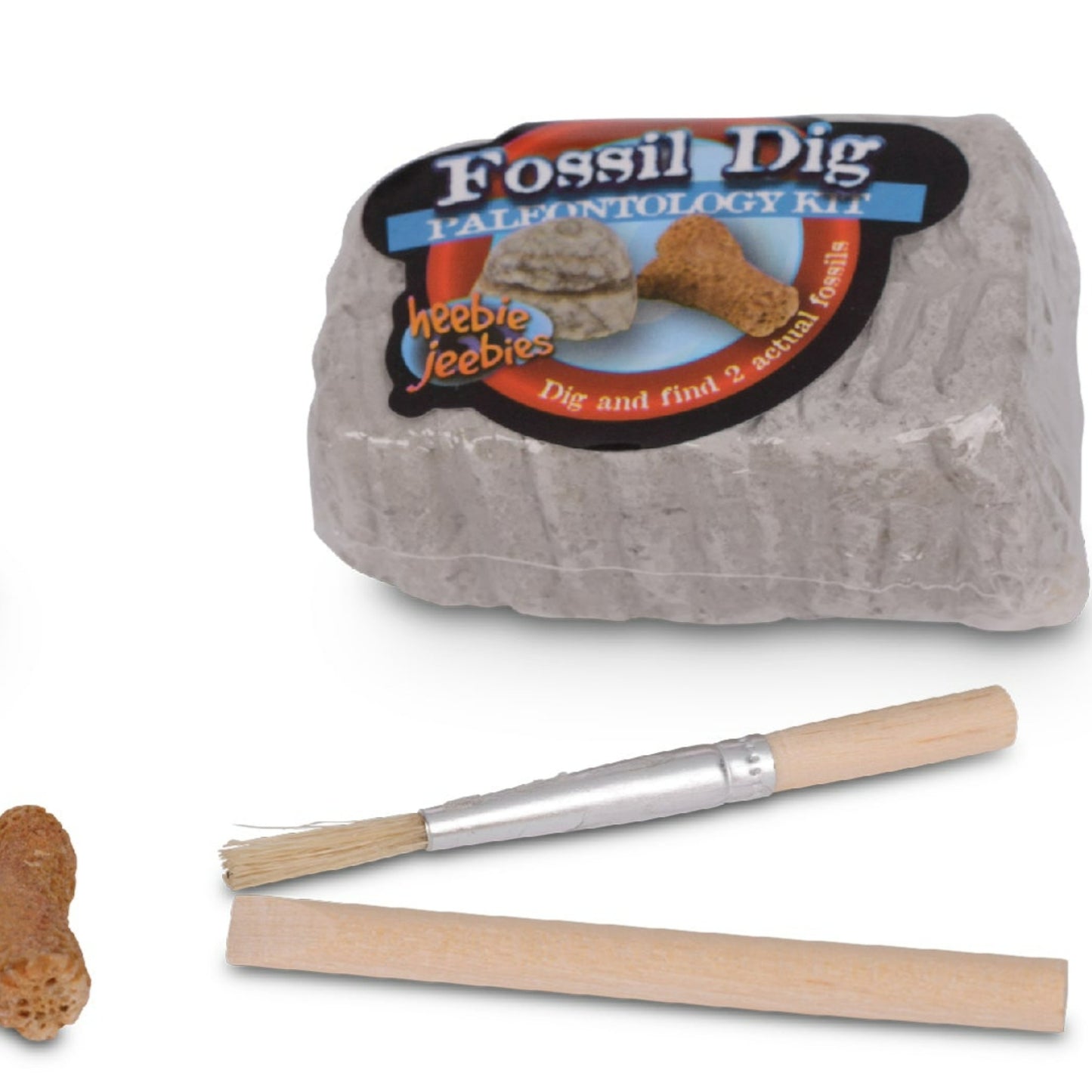 Heebie Jeebies | Fossil Dig | Mini Paleo Kit